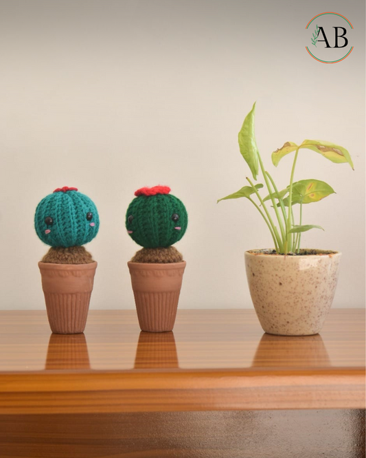 Handcrafted crochet flower pots