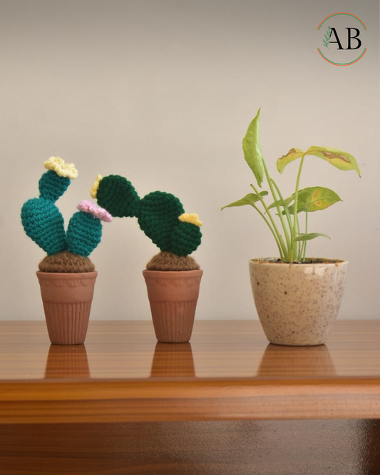 Handcrafted crochet flowers pots