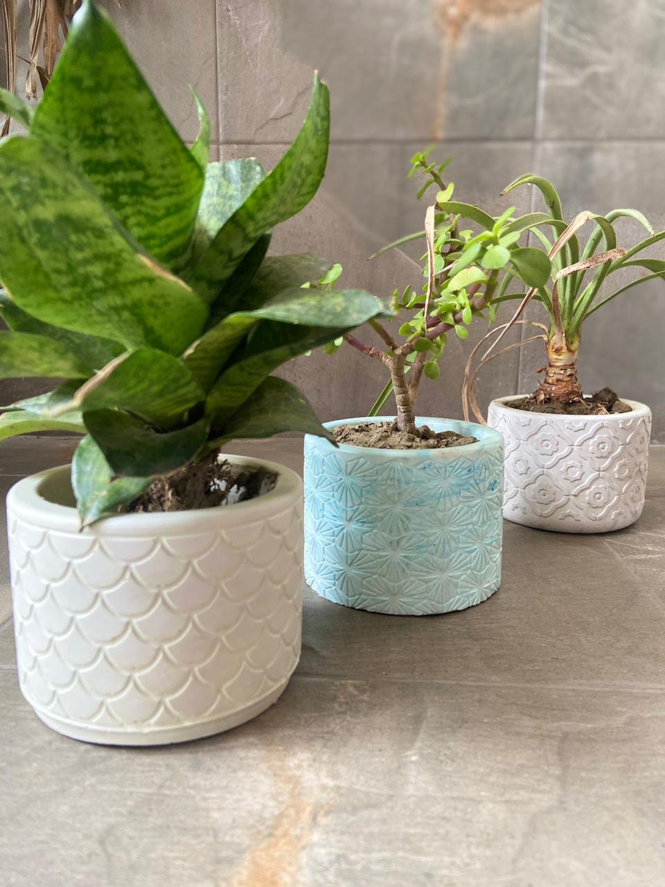 Handcrafted Concrete Planter