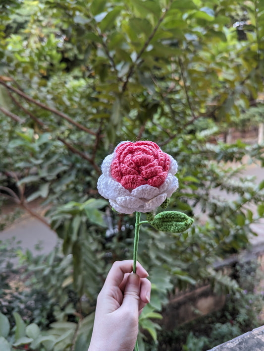 Handcrafted Crochet Rose